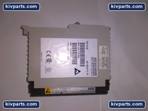 AEG AS-BDAP-210 Output Module – actual item, photo 2 of 5