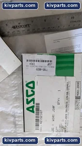 ASCO 7705-0029 Rebuild Kit Solenoid – actual item, photo 3 of 5