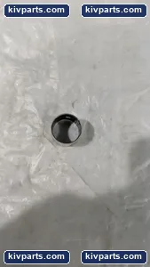 PAP1815P20-KS Bearing – actual item, photo 2 of 4