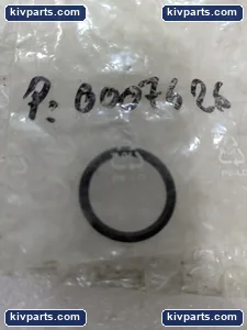 0007626 Ring Seal Gasket – actual item, photo 2 of 3