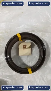 Chesterton Seal Ham Injection Seals – actual item, photo 5 of 8