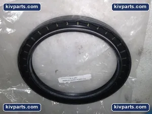 NAK TC120X150X13 Oil Seal – actual item, photo 4 of 5