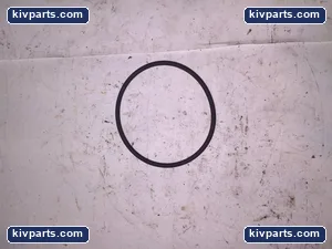 O'RING 62 X 3 '6 IN BAG' – actual item, photo 2 of 3