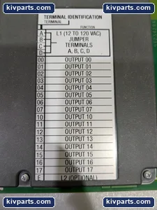 Allen-Bradley 1771-OAD/C AC Output Module – actual item, photo 4 of 9