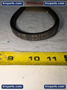 Dayton 6A144G Premium Belt – actual item, photo 2 of 4