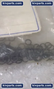 Motion Indusiries OH43-180658 Seal – actual item, photo 3 of 4