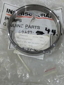 Ingersoll Rand 69914695 Flowserve Pump