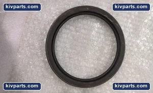 OLJcA 54972 Radial Shaft Oil Seal – actual item, photo 2 of 3