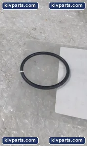 IMI CCI S1000049 Guide-Bush O-Ring Control Valve – actual item, photo 2 of 3