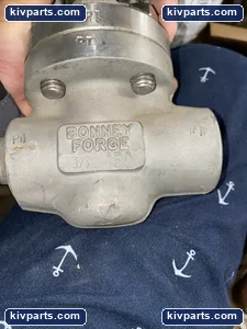 Bonney Forge 3/4” - 150 F316L Stainless Steel Gate Valve – actual item, photo 2 of 4