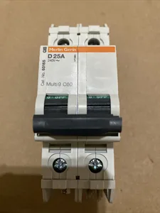 Merlin Gerin 60165 D-Curve Circuit Breaker