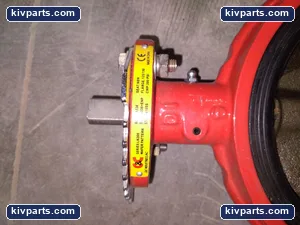 LN200 – actual item, photo 2 of 5