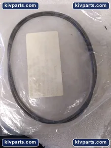 24664047 Fluorocarbon O-Ring Seal – actual item, photo 3 of 4