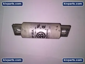 Bussmann FWP-80A AC/DC – actual item, photo 2 of 3