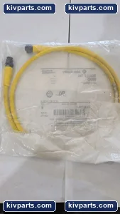 Allen-Bradley 889D-F4AEDM-1 Cordset Cable Connector – actual item, photo 2 of 3