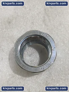 Rigid Conduit Threaded Fitting 1-1/4 Inch Galvanized Steel Male Female Adapter – actual item, photo 2 of 5