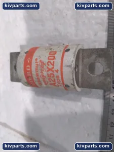 Gould A25X200 Fuse – actual item, photo 3 of 4