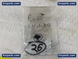 Bussmann LKN-30 Super Lag Renewal Fuse – actual item, photo 2 of 4