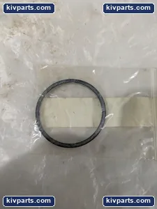 H03955M OP Tetra Seal Shear Valve Seal – actual item, photo 2 of 3