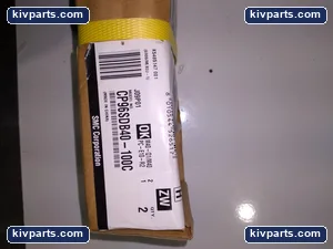 SMC CP96SDB40-100C Corporation – actual item, photo 2 of 3