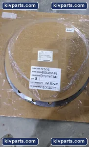 Plant S0263611 – actual item, photo 2 of 6