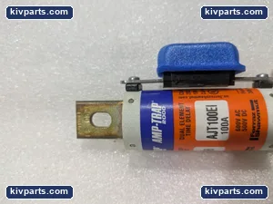Mersen 2000 AJT100EI Fuse – actual item, photo 2 of 8