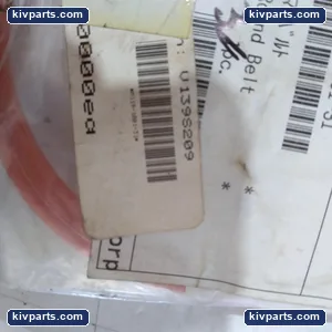 M119-1001-31 Round Drive Belt – actual item, photo 4 of 5
