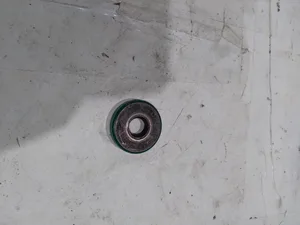 SKF Rawhide Industrial Bearing