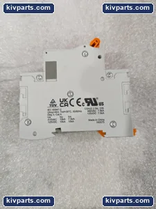 Phoenix Contact 1019997 Thermal Magnetic Circuit Breaker – actual item, photo 3 of 6