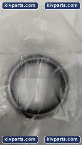 T01074 Oil Seal – actual item, photo 2 of 3