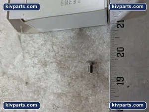 230188 TORX 18-8 SS Button – actual item, photo 2 of 5