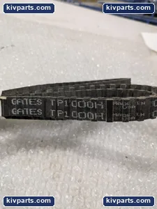 Gates TP1000H Power Double Sided Timing Belt – actual item, photo 3 of 6