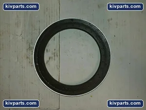 Taylor 3815-291 Seal – actual item, photo 2 of 2