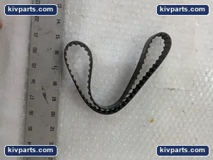 Goodyear 255L075 Timing Belt – actual item, photo 3 of 4