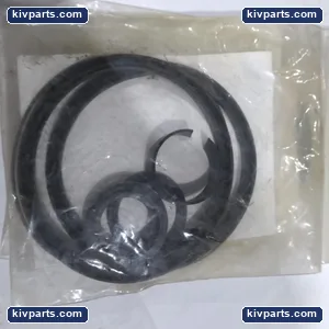 418-10761 Gasket Kit O-Ring Seal – actual item, photo 2 of 3