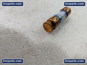 Littelfuse RK5 Time Delay Dual Element Fuse – actual item, photo 2 of 4
