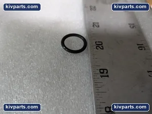 Rego 7513-25 Gasket – actual item, photo 4 of 5