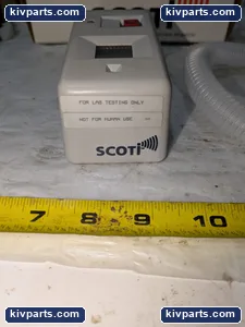 53000 Scoti – actual item, photo 4 of 6