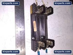 R60030-2PR Amp Fuse – actual item, photo 2 of 6
