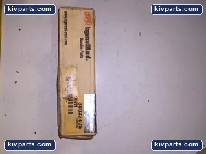 Ingersoll-rand 1RN11 – actual item, photo 3 of 5