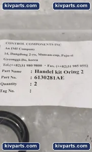 Imai S1000048 O-Ring Set Black Control Valve – actual item, photo 2 of 4