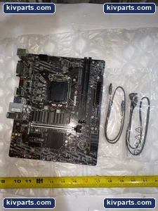 P305E4001D Palwonn PRO – actual item, photo 8 of 10