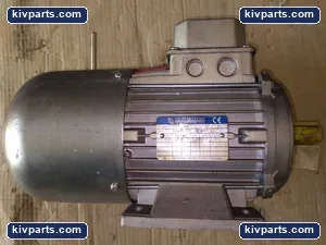 AT80A4 Neri Motori Induction Motor – actual item, photo 2 of 4