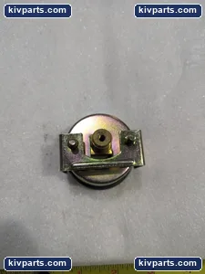 STAINLESS STEEL BAZEL PRESSURE GAUGE 0-300 0-20 BAR 100X KPA PSI – actual item, photo 4 of 6