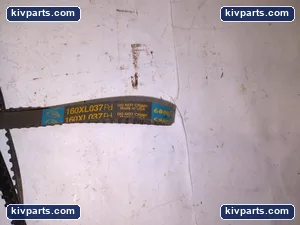 Goodyear 160XL037PD Belt – actual item, photo 2 of 3