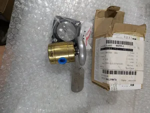 EGS 250PL-2-10-21-VAI/EQSD Control Valve