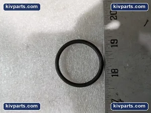 Denison 691-00221 Gasket – actual item, photo 3 of 6