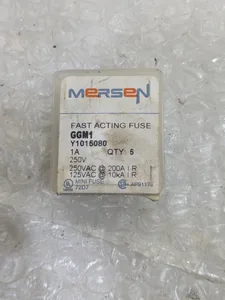 Mersen GGM1Y1015080 Acting Fuse – actual item, photo 1 of 5
