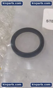 Blac INC 00018-L-0023 Inner Rod Seal Black Cylinder – actual item, photo 2 of 4