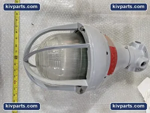 Crouse-Hinds EVCS230C/12-24 Location Emergency Light – actual item, photo 2 of 7